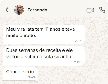 Depoimento da Fernanda no WhatsApp